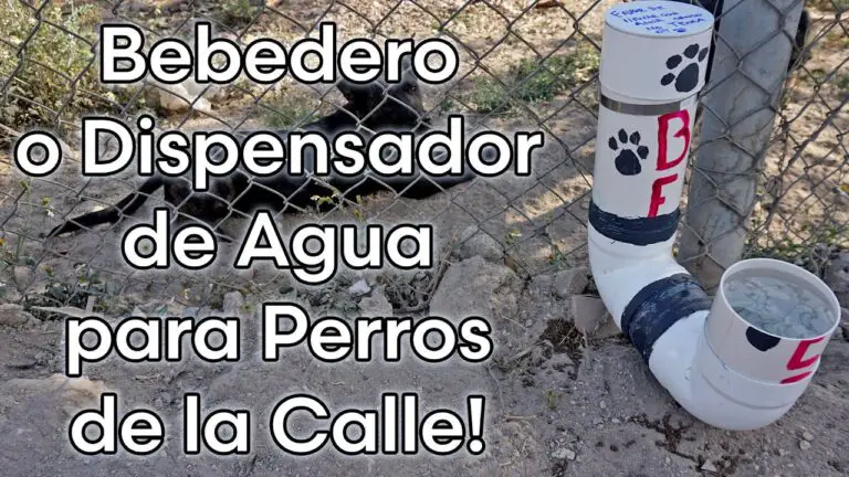 Bebedero Para Perros Pvc